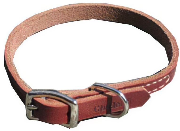 10"L x 3/8"W Circle T Latigo Town Dog Collar