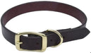 24"L x 1"W Circle T Latigo Town Dog Collar