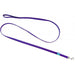 6 feet x 5/8"W Coastal Pet Single Nylon Lead Purple