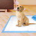 30 count Four Paws Original Wee Wee Pads Floor Armor Leak-Proof System for All Dogs and Puppies