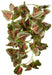 1 count Flukers Repta-Vines Red Coleus 6 Feet Long