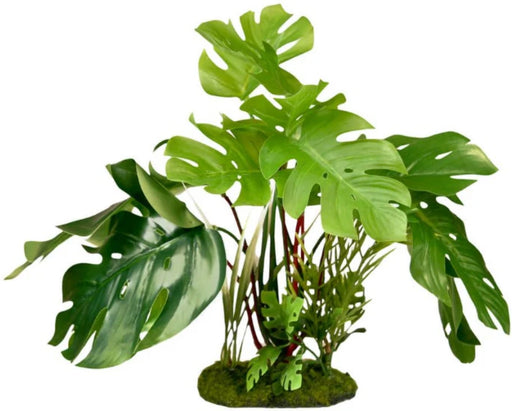 1 count Blue Ribbon Vibran-Sea Tropical Gardens Split Green Leaf Philodendron