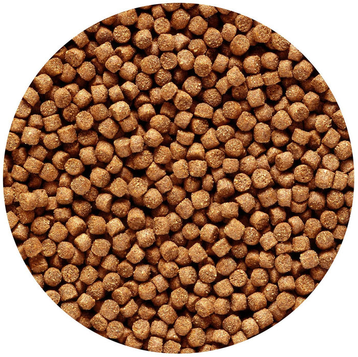 3.5 oz Hikari Sinking Cichlid Gold Mini Pellet Food