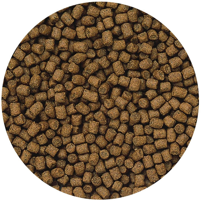 3.5 oz Hikari Lionhead Mini Sinking Pellet Food