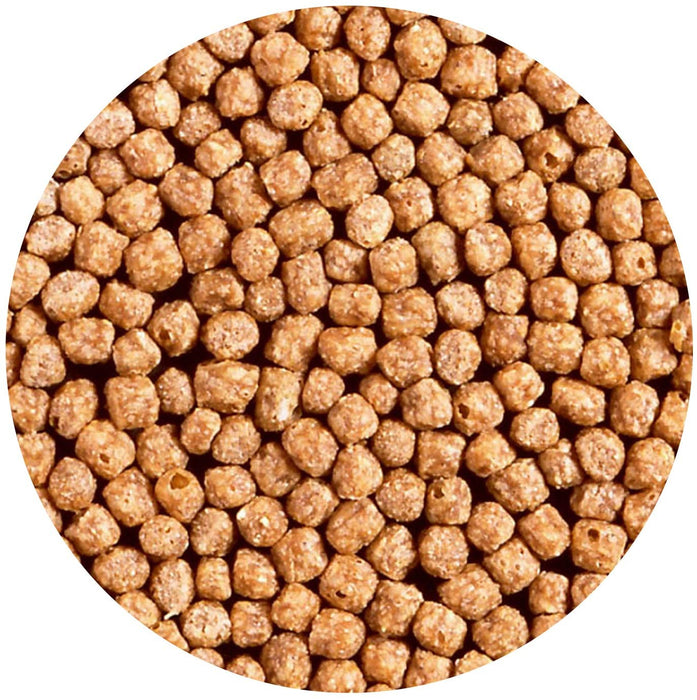 3.5 oz Hikari Goldfish Wheat Germ Mini Pellet