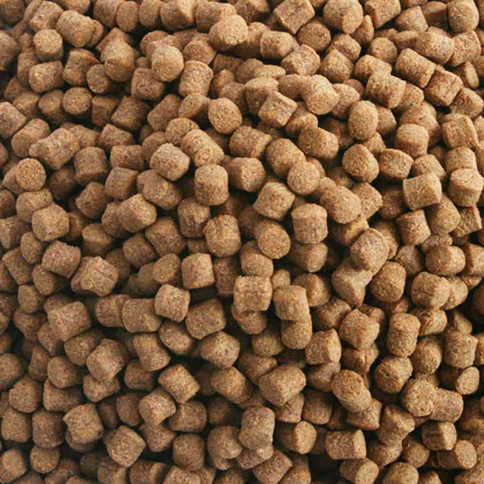 33 lb Hikari Wheat Germ Sinking Medium Pellet Food