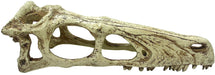 Large - 1 count Komodo Raptor Skull Terrarium Decoration