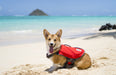 Small - 1 count Outward Hound Dawson Swimmer Life Jacket for Dogs
