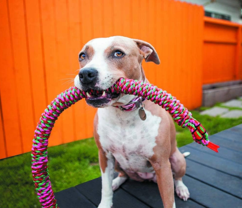 Small - 1 count Mammoth Snakebiter Rope Tug Dog Toy