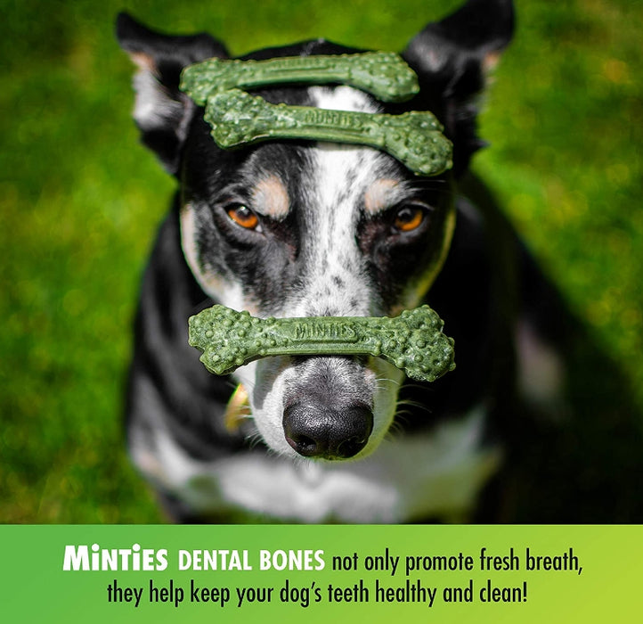 8 count Sergeants Minties Dental Treats for Dogs Medium Large