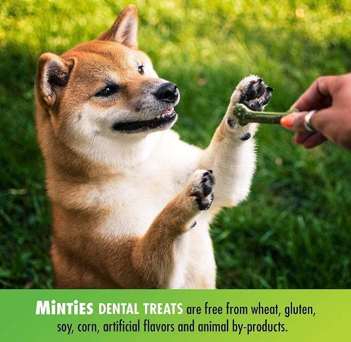 40 count Sergeants Minties Dental Treats for Dogs Medium Large