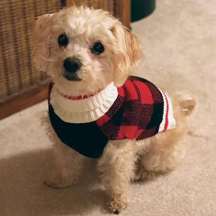 Large - 1 count Fashion Pet Plaid Dog Sweater Red