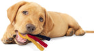 Small - 5 count Nylabone Puppy Chew Teething Keys Toy