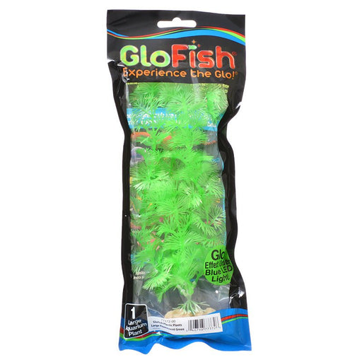 GloFish Betta Mini Pellets Tropical Fish Food, 1.02 oz.