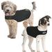 X-Small - 1 count ZenPet Zen Dog Calming Compression Shirt