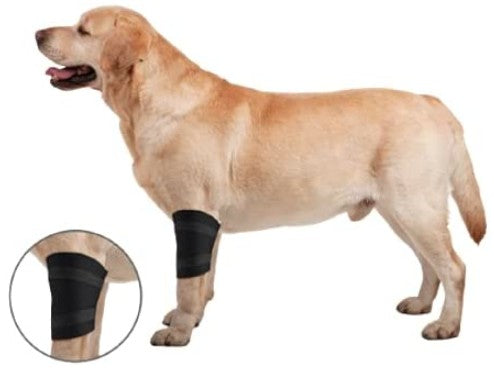 Medium - 1 count ZenPet Elbow Protector Ortho Wrap