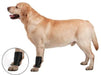 Medium - 1 count ZenPet Ligament Protector Ortho Wrap