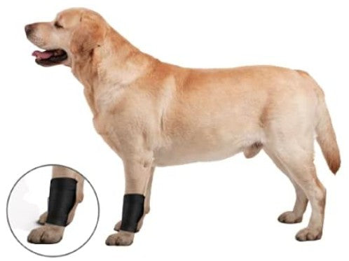 Large - 1 count ZenPet Ligament Protector Ortho Wrap