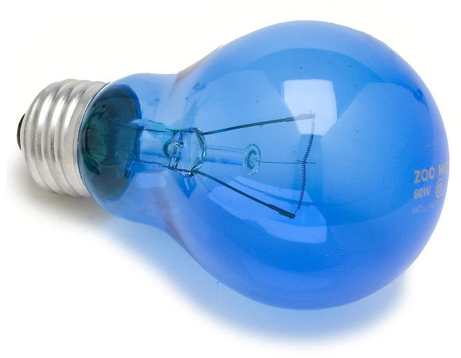 Daylight blue reptile bulb 60 watt temperature hotsell