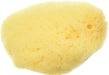3 count Zoo Med All Natural Hermit Crab Sea Sponge